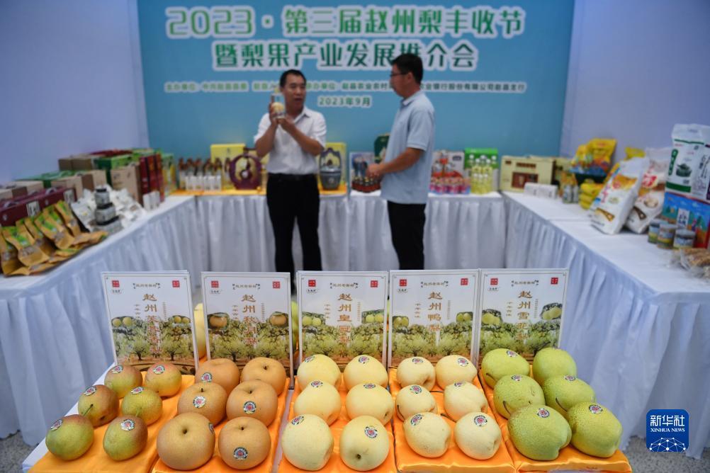 银钻娱乐怎样下载